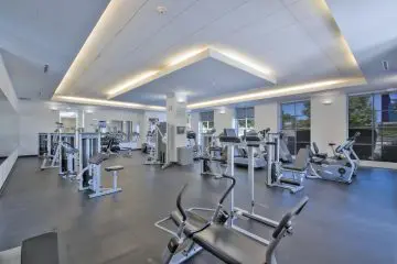 Fitness Center Gym Equipment