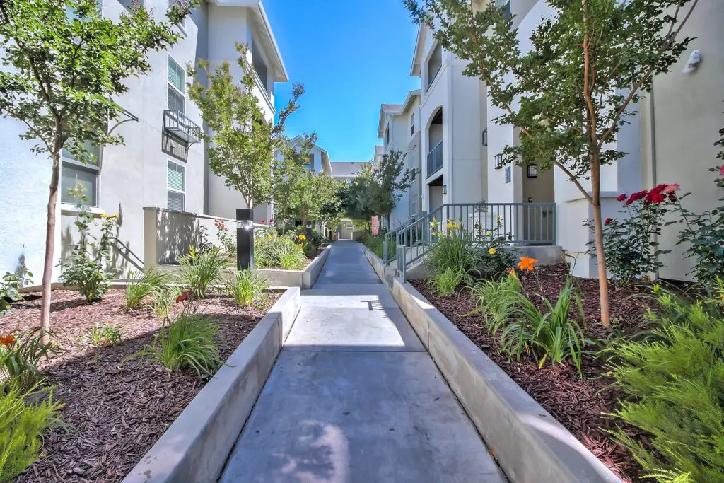 Springtime landscaping and outdoor walkway at Catalina Luxury Apartments in the South Bay.