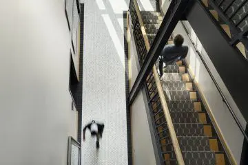 Costume Property Apartments Front Lobby Staircase