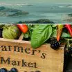 View of San Francisco Bay area with fresh produce and wooden farmers market crate featuring fresh berries, peppers, and leafy greens all located near various De Anza Properties apartment communities.