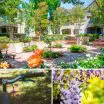 Spring collage featuring garden courtyard at Forge Homestead apartments, closeup of bike handlebars on an outdoor trail, and blooming wisteria flowers in a South Bay park.