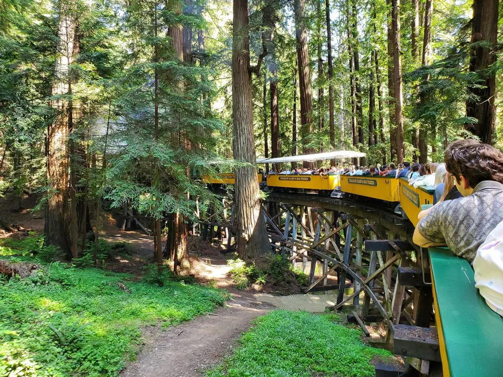 Passengers riding a Roaring Camp Railroads train along a wooden trestle through towering redwood trees in Felton, California.