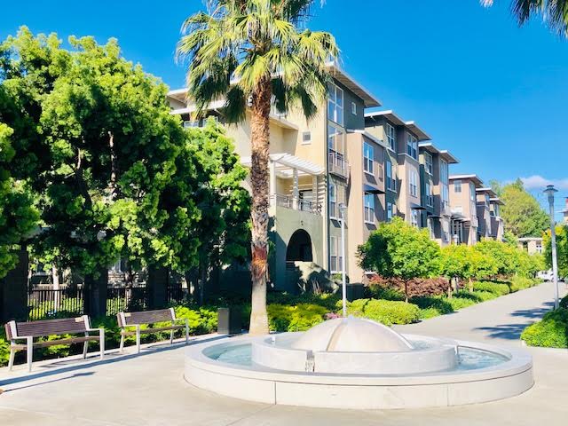 Fruitdale Station apartment community courtyard with fountain, palm trees, benches, and landscaped walkway in San Jose, CA.