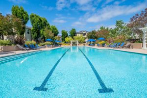 A junior olympic-size swimming pool offers resort-style apartment living for tech professionals living at Forge Homestead apartments. 