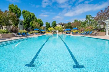 Forge Homestead Apartment Jr. Olympic Pool