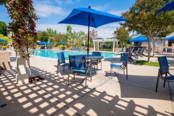 Forge Homestead Apartment Pool View