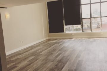 Living Room Window