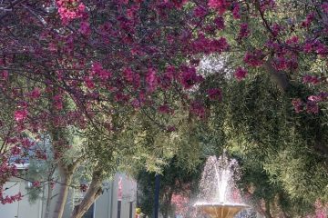 Outdoor Landscaping