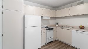 Sun Chase Apartment Kitchen