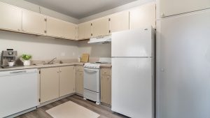 Sun Chase Apartment Kitchen