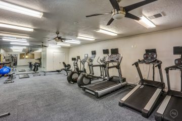 axis at 739 gym
