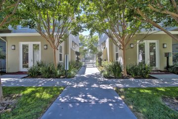 Catalina Luxury Apartments Outdoor Courtyard