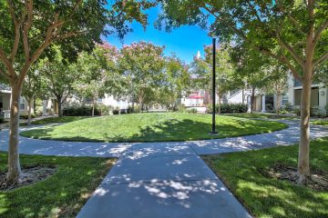 Catalina Luxury Apartments Courtyard