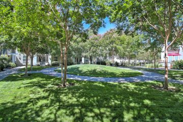 Outdoor Yard and Walkway