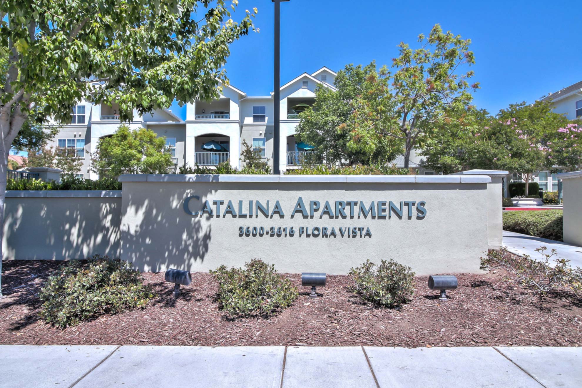 Catalina Luxury Apartments in Santa Clara 68 Weeks Free!