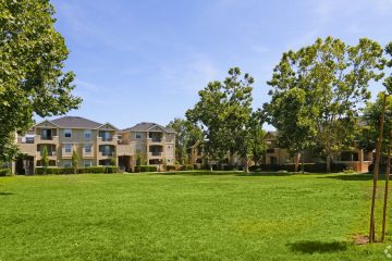 Forge Homestead Apartments Outdoor Lawn