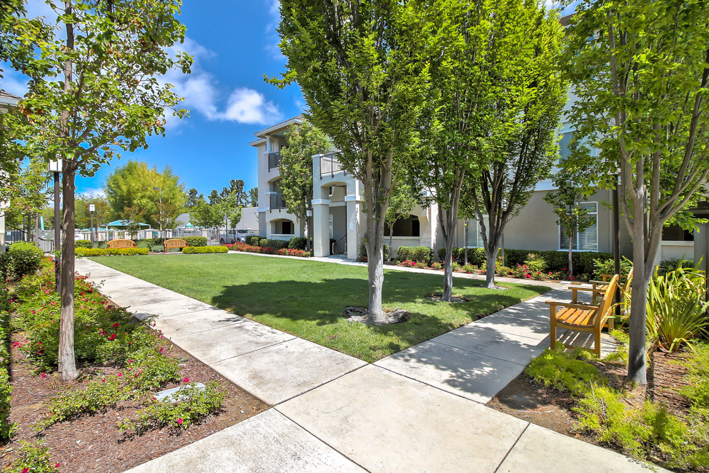 Outdoor walkway circling courtyard of grass, various plants, & bench seating.