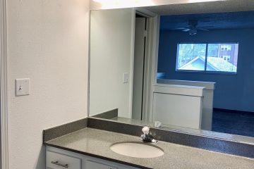 Seven65 Lofts Master Bathroom Sink