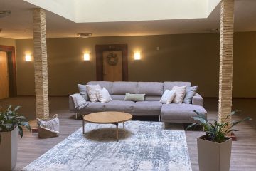 Common area with indoor plants, a couch, circular coffe table, & rectangle area rug.