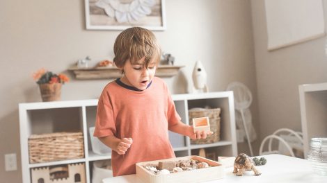 boy in orange crew neck t-shirt standing in front of white wooden table with cupcakes