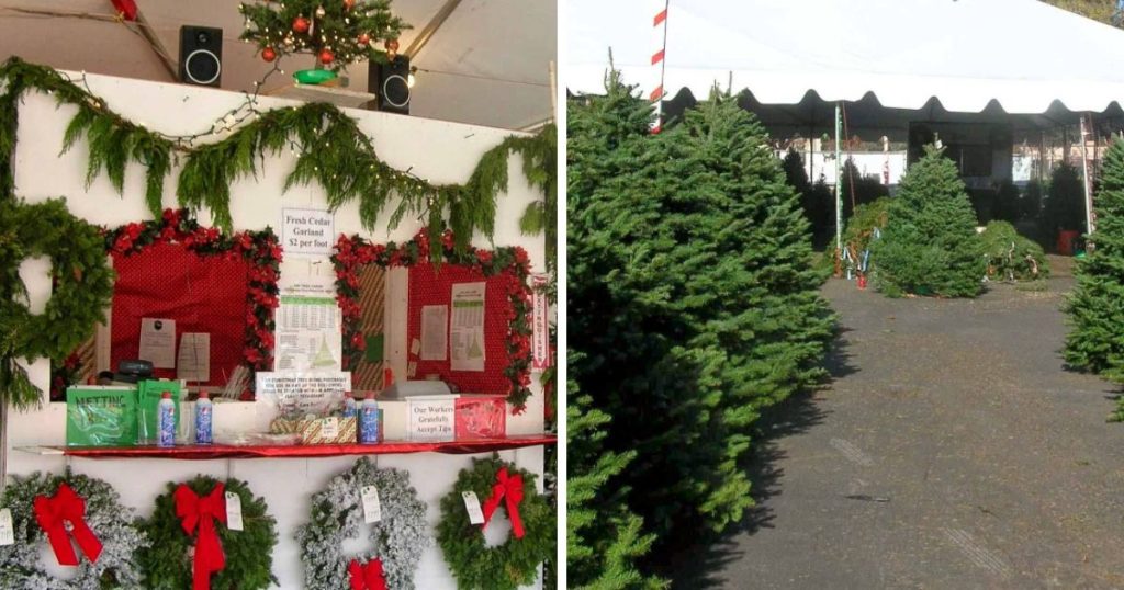 ABC Tree Farms (San Jose & South Bay Lots)